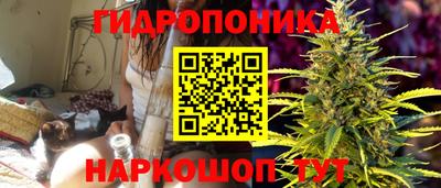 сатива Лесосибирск