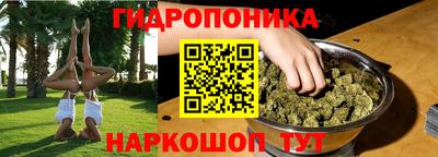 сатива Лесосибирск