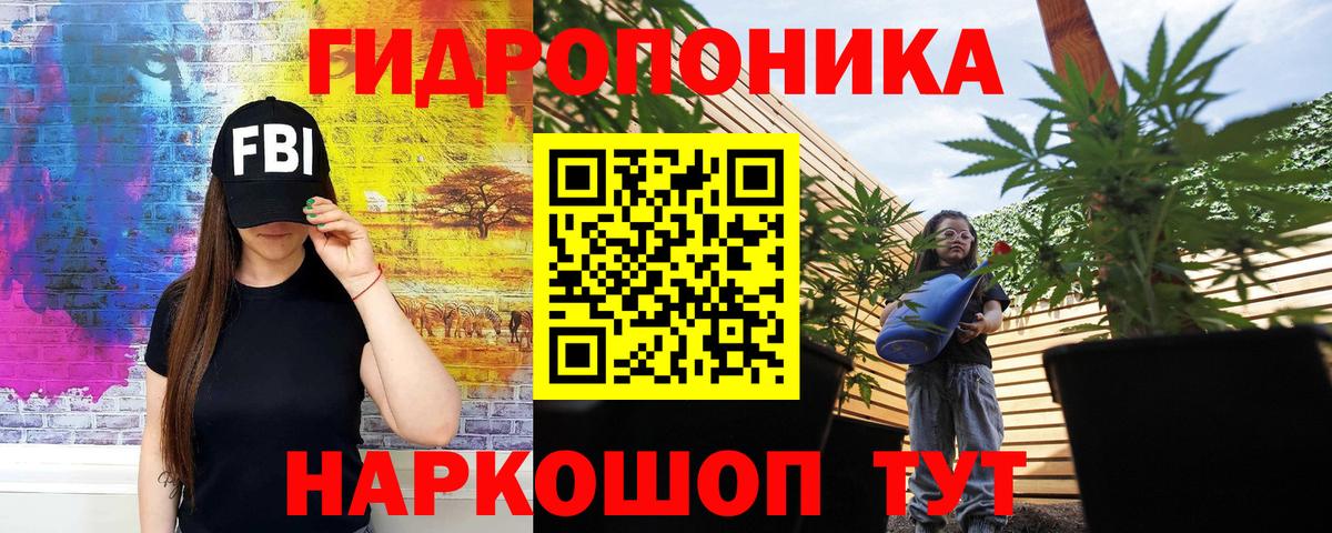 Бошки Шишки сатива  Вход с VPN  Конопля план  Волгодонск  Шишки марихуана OG Kush 